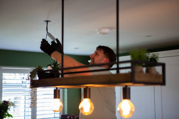 Best Electrician for Home Renovation  in Dillingham, AK