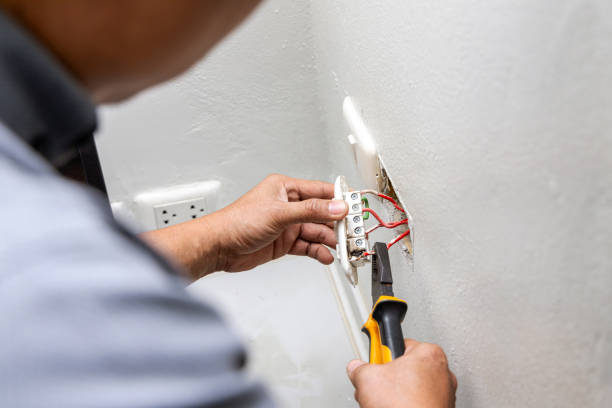 Best Electrical Contractors for Businesses  in Dillingham, AK