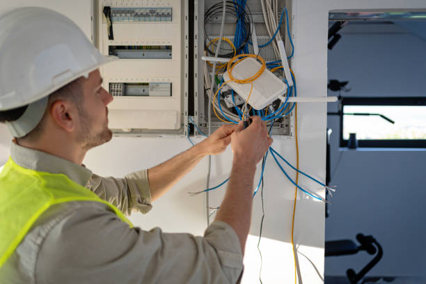 Best Local Electrician Companies  in Dillingham, AK
